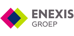 Logo van Enexis Groep met een gekleurde ruitvorm en grijze bedrijfsnaam.